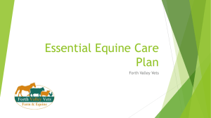 Essential Equine Care Plan