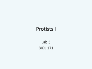 Lab 3 – Protists 1 - How Biology Works