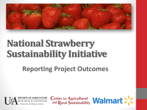 NSSI Outcomes Presentation - National Strawberry Sustainability