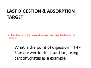 Last Digestion & Absorption Target