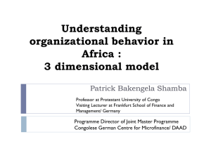 Understanding organizational behaviour in Africa