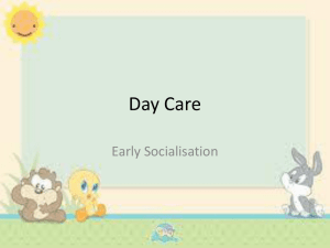 Day Care - Higher Psychology