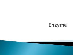 Enzyme ppt