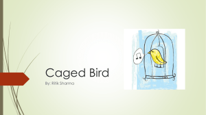 Caged Bird_presentation