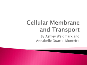 Cellular Membrane and Transport