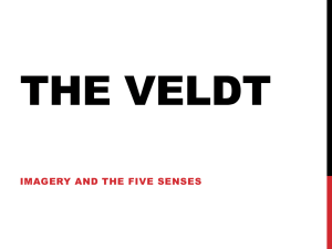 the Veldt - Imagery (teacher slides - Murray)