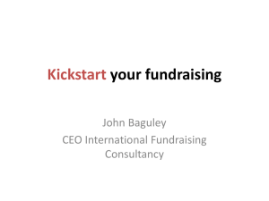 Government - International Fundraising Consultancy