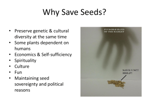 PowerPoint - Toronto Seed Library