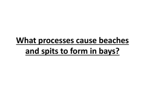 What processes cause beaches to form in Bays?