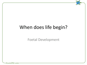 When does life begin?