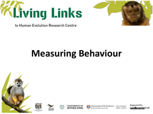 Measuring Primate Behaviour