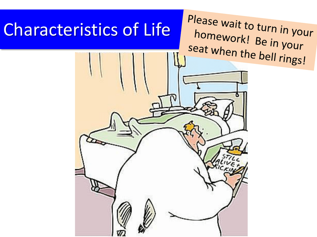 Characteristics Of Life