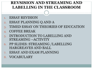 revsision and streaming and labelling in the classroom