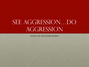 See Aggression*do aggression
