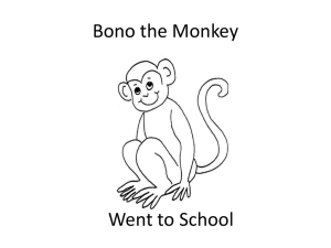 Bono the Monkey