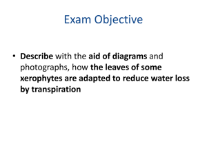 Exam Objective