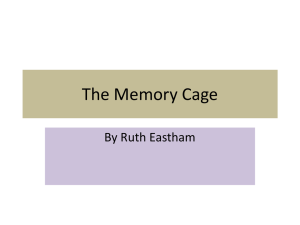 The Memory Cage