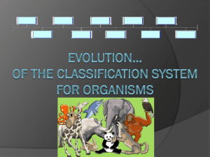 Classification PPT