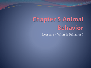 Chapter 5 Animal Behavior
