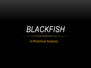 Blackfish - Midway ISD