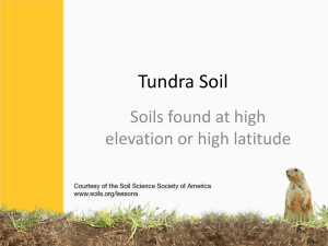 Tundra Soil