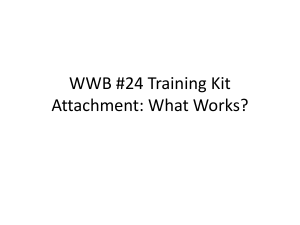 WWB #24 Training Kit Attachment: What Works?