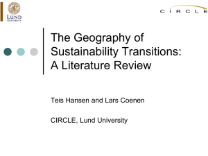 Teis Hansen and Lars Coenen - Low Carbon Innovation Politics