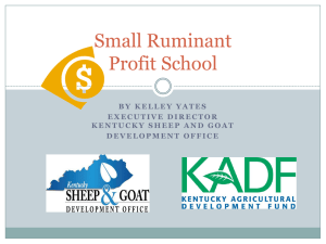 Small Ruminant Profit School PPT