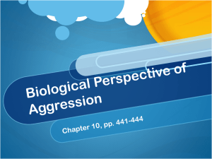 Biological Perspective of Aggression - ITL
