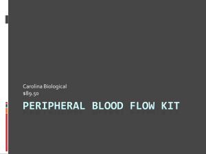 Peripheral Blood Flow Kit
