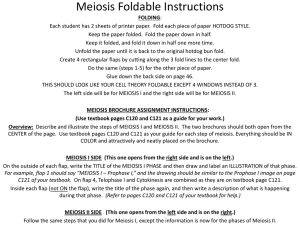 Meiosis Foldable Instruction