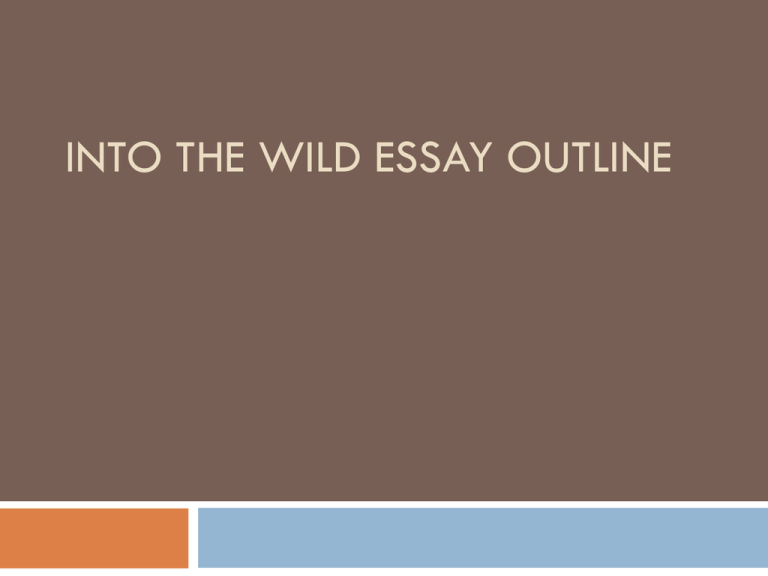 into the wild essay assignment
