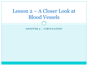 Lesson 2 * A Closer Look at Blood Vessels