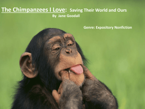 Chimpanzees I Love, Jane Goodall powerpoint.ppt