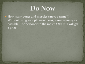Do Now Muscular/Skeletal System!