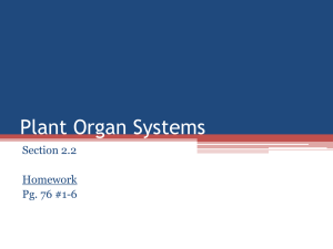 Plant Organ Systems