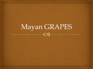 Mayan GRAPES