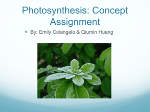 Photosynthesis - PPlazekGrade11Physics