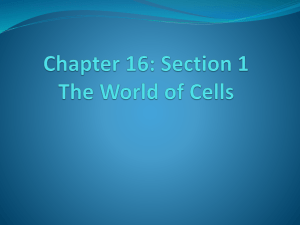 Chapter 16: Section 1 The World of Cells