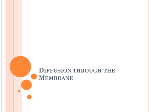 Diffusion through the Membrane