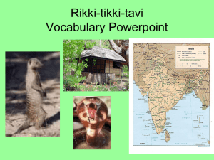 Rikki-tikki-tavi Vocabulary Powerpoint