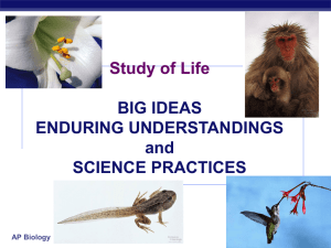 Big Ideas and enduring understandings PP