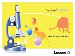 Lesson - Foundation for Biomedical Research