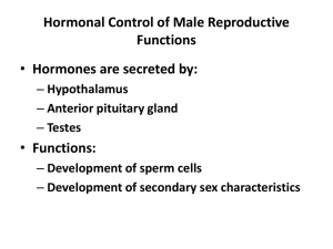 Hormonal Control of Male Reproductive Functions