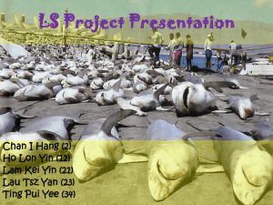 08 LS project Shark