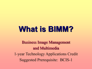 What is BIMM?