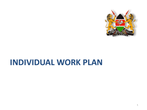 INDIVIDUAL WORK PLAN What is a work plan?