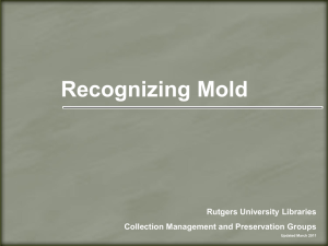 Recognizing Mold - Rutgers University Libraries