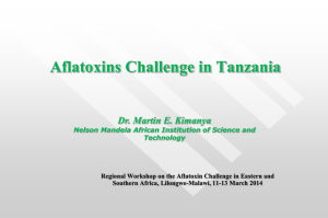 Tanzania_Aflatoxins Challenge