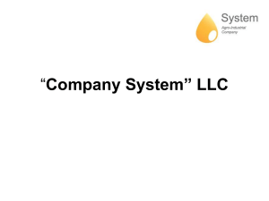 “Company System” LLC